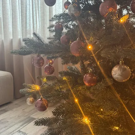 Aan De Plenkert Дом отдыха *