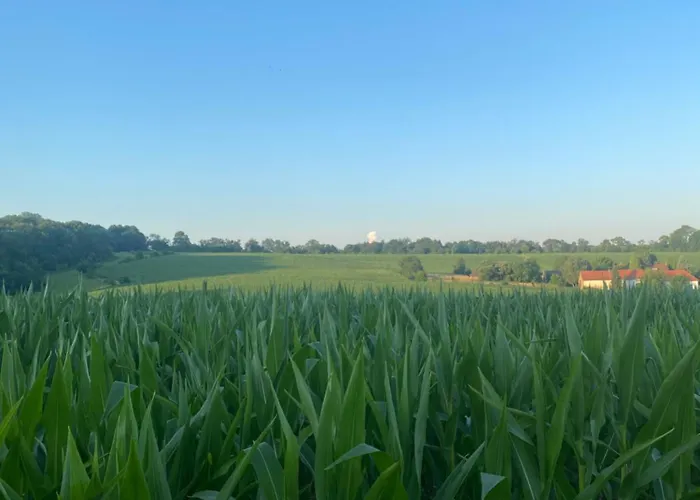 Aan De Plenkert Дом отдыха