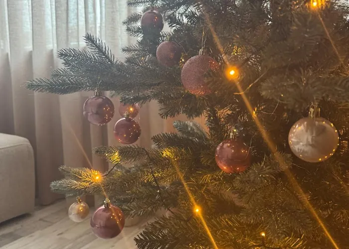 Aan De Plenkert Дом отдыха *