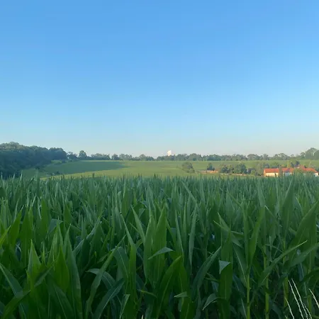 Aan De Plenkert Дом отдыха